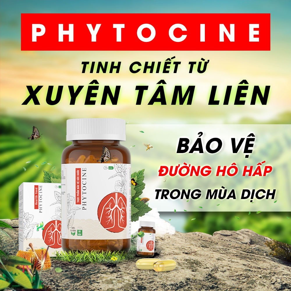 [3T Pharma] Phytocine Tinh Chiết Từ Xuyên Tâm Liên - 60 viên/ hộp