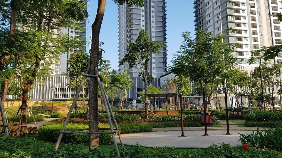 Hình ảnh tiêu biểu