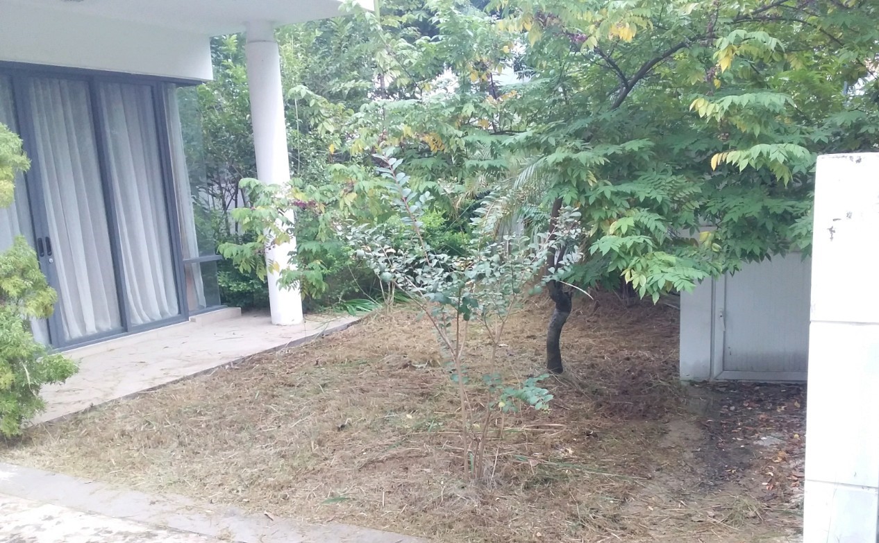 Tháng 11 - Cắt cỏ và phun thuốc chống muỗi khu thấp tầng và nhà phố