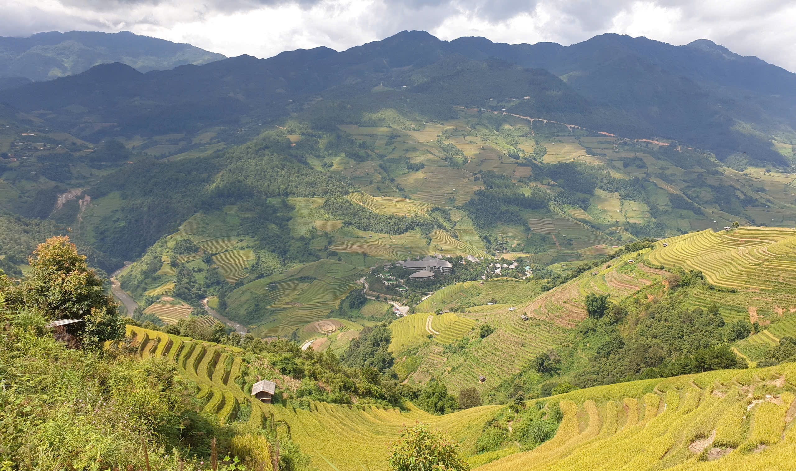 Where Are the Most Beautiful Terraced Rice Fields in Vietnam and the World?