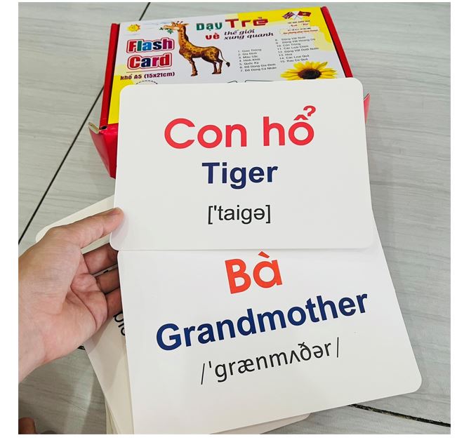 Flashcard Dạy Trẻ Thế Giới Xung Quanh
