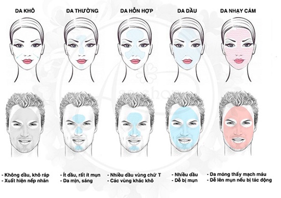 Phân biệt các loại da