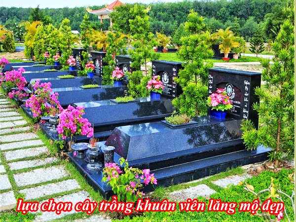 13-loai-cay-nen-trong-tren-lang-mo-da-theo-phong-thuy