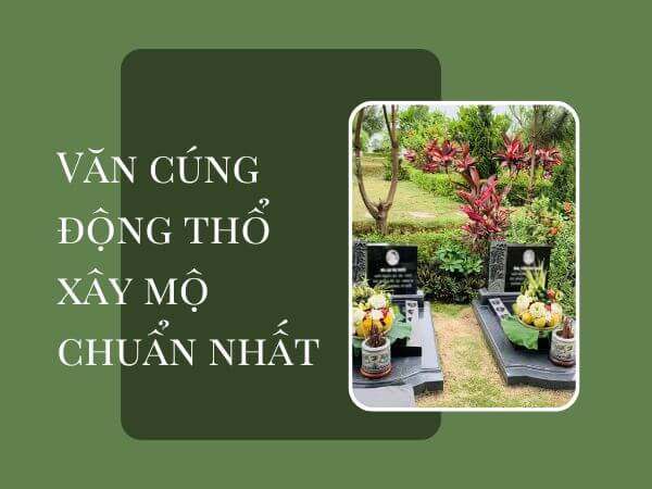 tham-khao-tron-bo-van-cung-dong-tho-khi-lap-mo