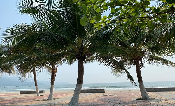 kinh-nghiem-di-ha-noi-da-nang-bang-o-to