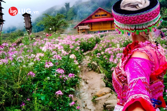 Du lịch Sapa