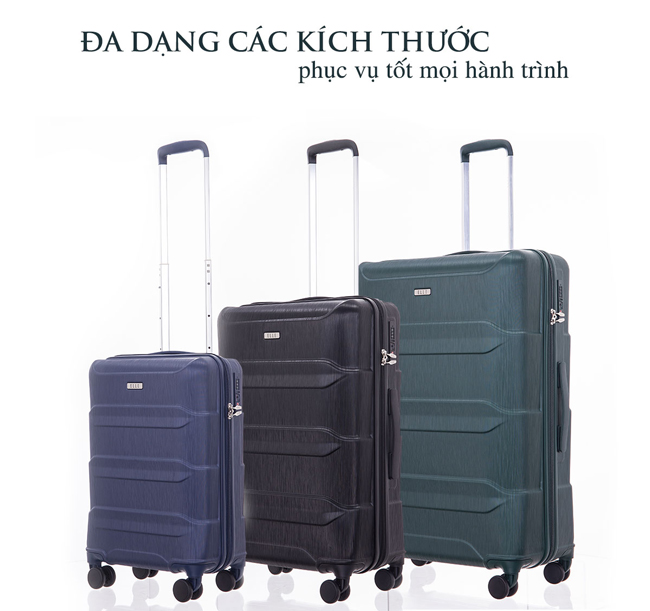 Kích thước chuẩn và đa dạng chọn lựa