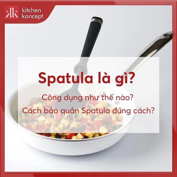 Spatula là gì? Tìm hiểu công dụng, cách bảo quản đúng cách