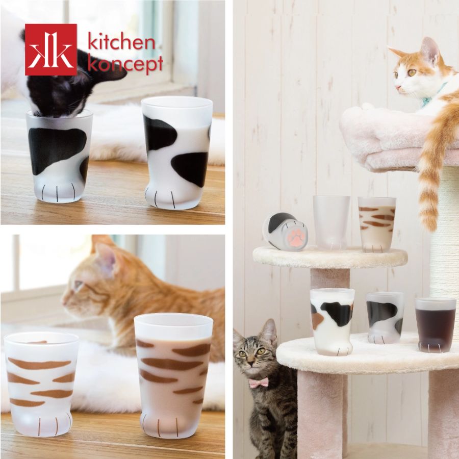 Lưu ý vệ sinh và sử dụng Ly hình chân mèo Coconeco Aderia 0.3L