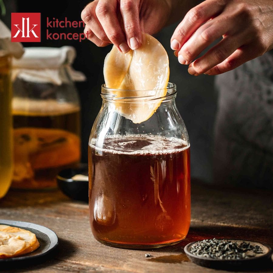 Phân biệt scoby còn tốt và scoby đã hỏng