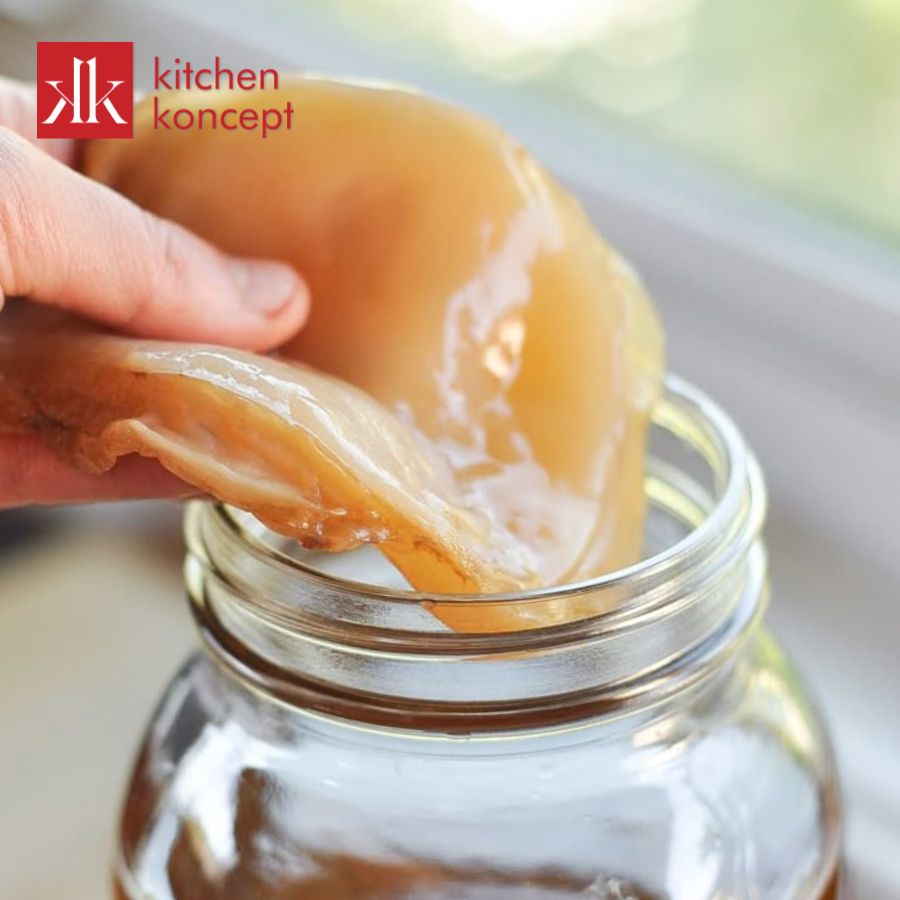 Scoby là con giống để sử dụng trong quá trình lên men và sản xuất kombucha