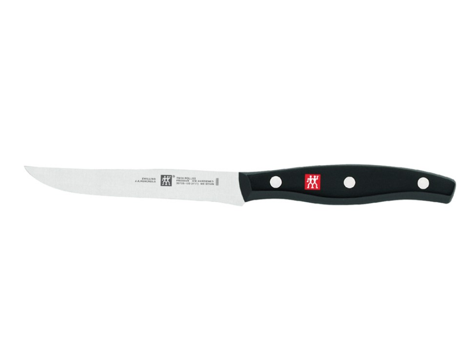 Bộ dao bít tết ZWILLING Twin Pollux - 4 món