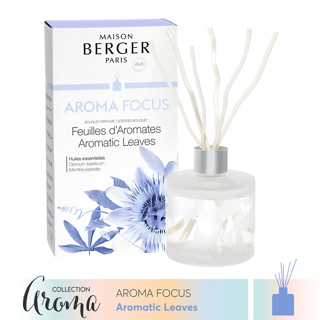 MAISON BERGER - Lọ tinh dầu khuếch tán hương Aroma Focus - 180ml