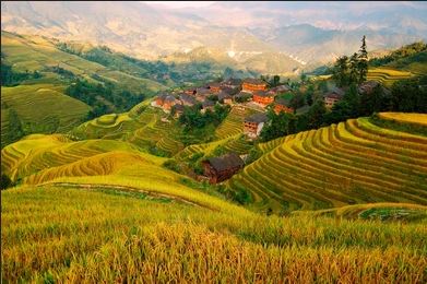 Ý nghĩa màu vàng trong tranh dán tường 3D