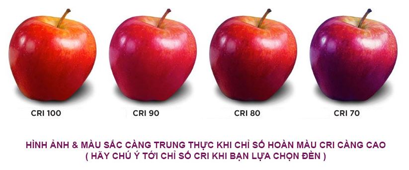 thông số kỹ thuật đèn led trần xuyên sáng