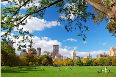 Cảnh quan thành phố  - TPKT328