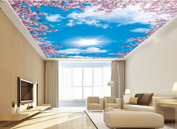 Trần xuyên sáng 3d - XS128