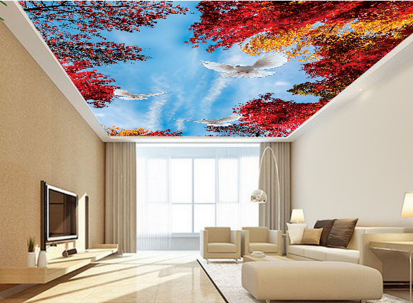 Tranh 3d trần nhà - MS128