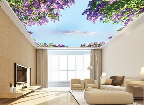 Tranh 3d trần nhà - MS132