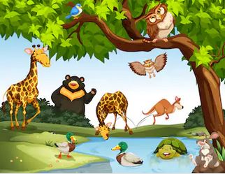 Tranh các con vật - THH36