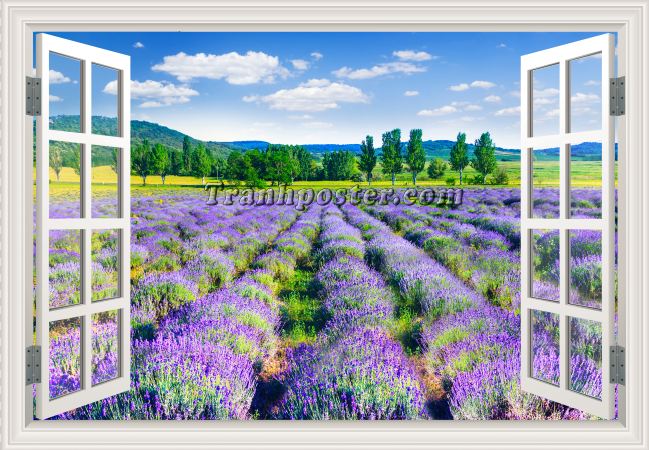 Tranh cửa sổ 3D - CS90