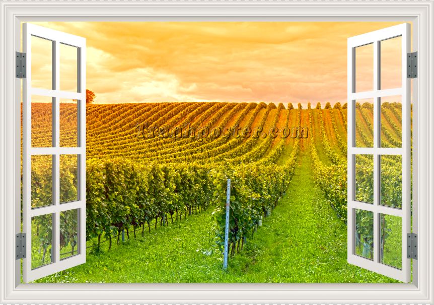 Tranh cửa sổ 3D - CS91