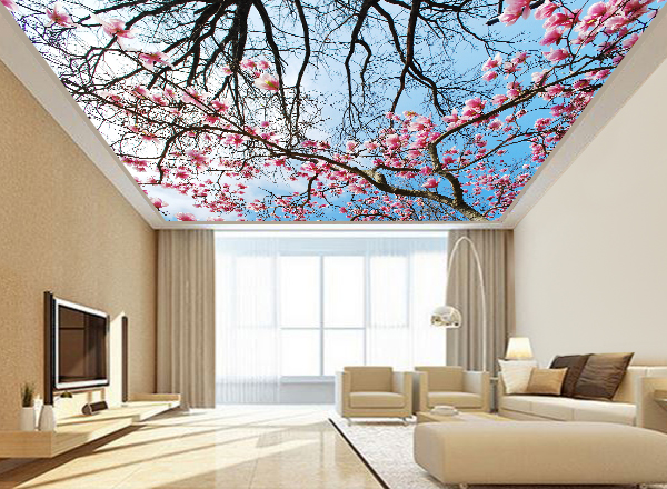 Tranh dán trần nhà 3d - MS142