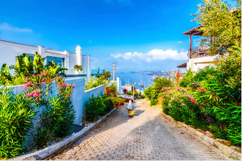 Tranh đường phố đẹp - TPKT202