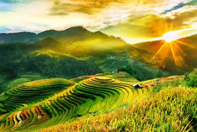 Tranh ruộng bậc thang 12