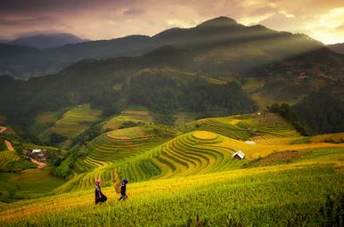 Tranh ruộng bậc thang 06