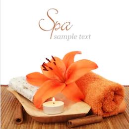 Tranh Spa - 54