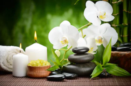 Tranh trang trí Spa - SP168