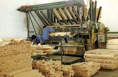Ghép gỗ