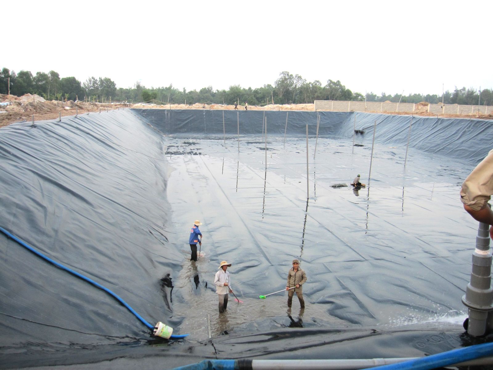 Bán bạt lót hồ nuôi tôm giá rẻ | Chống thấm ATH Group - Vật liệu chống thấm  chất lượng, uy tín, giá rẻ