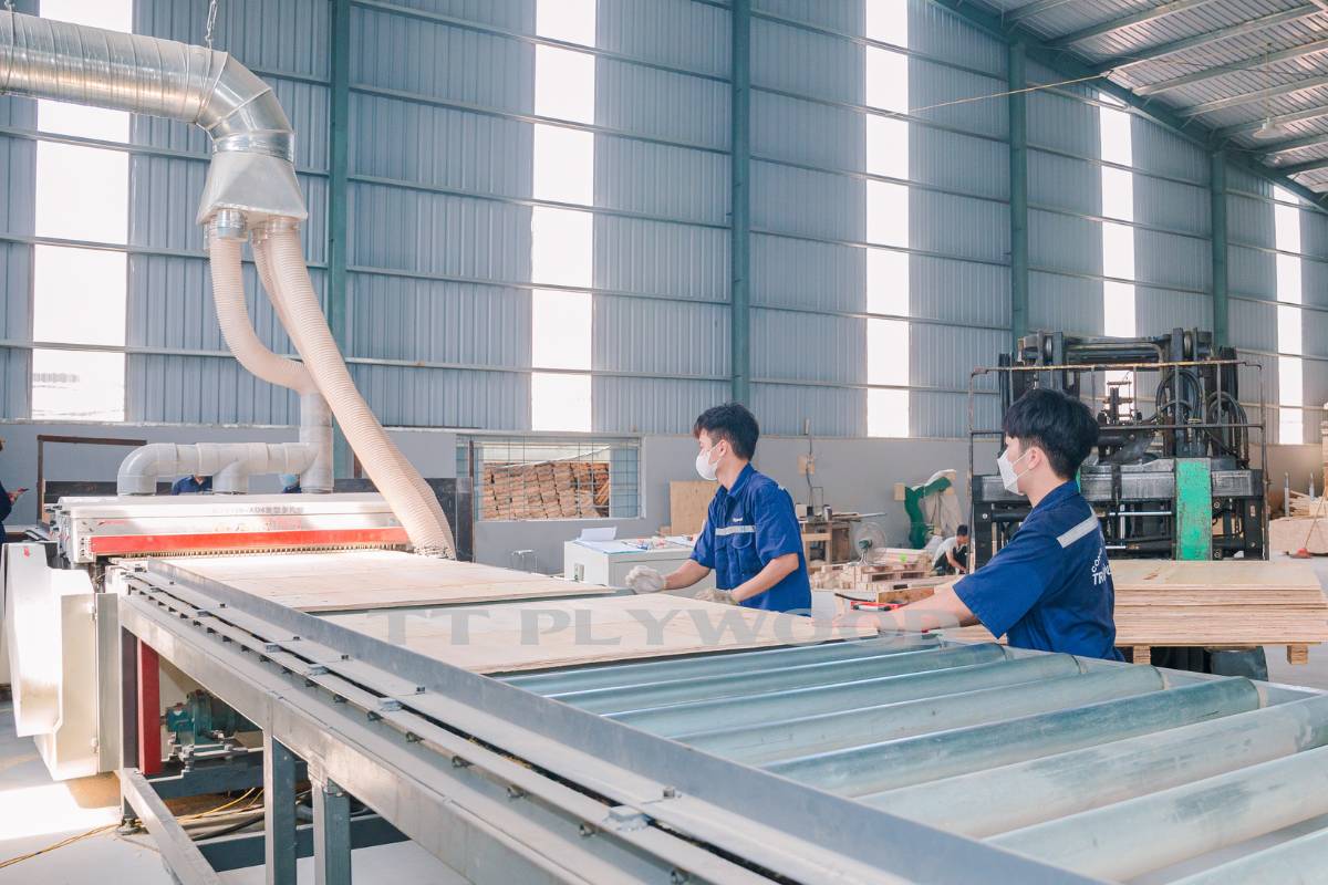 Giải pháp máy móc tối ưu trong sản xuất ván ép phủ phim