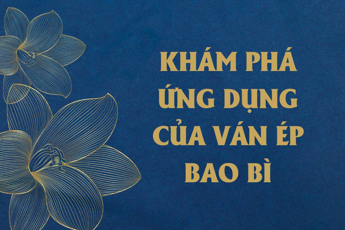 Khám phá các ứng dụng của ván ép bao bì