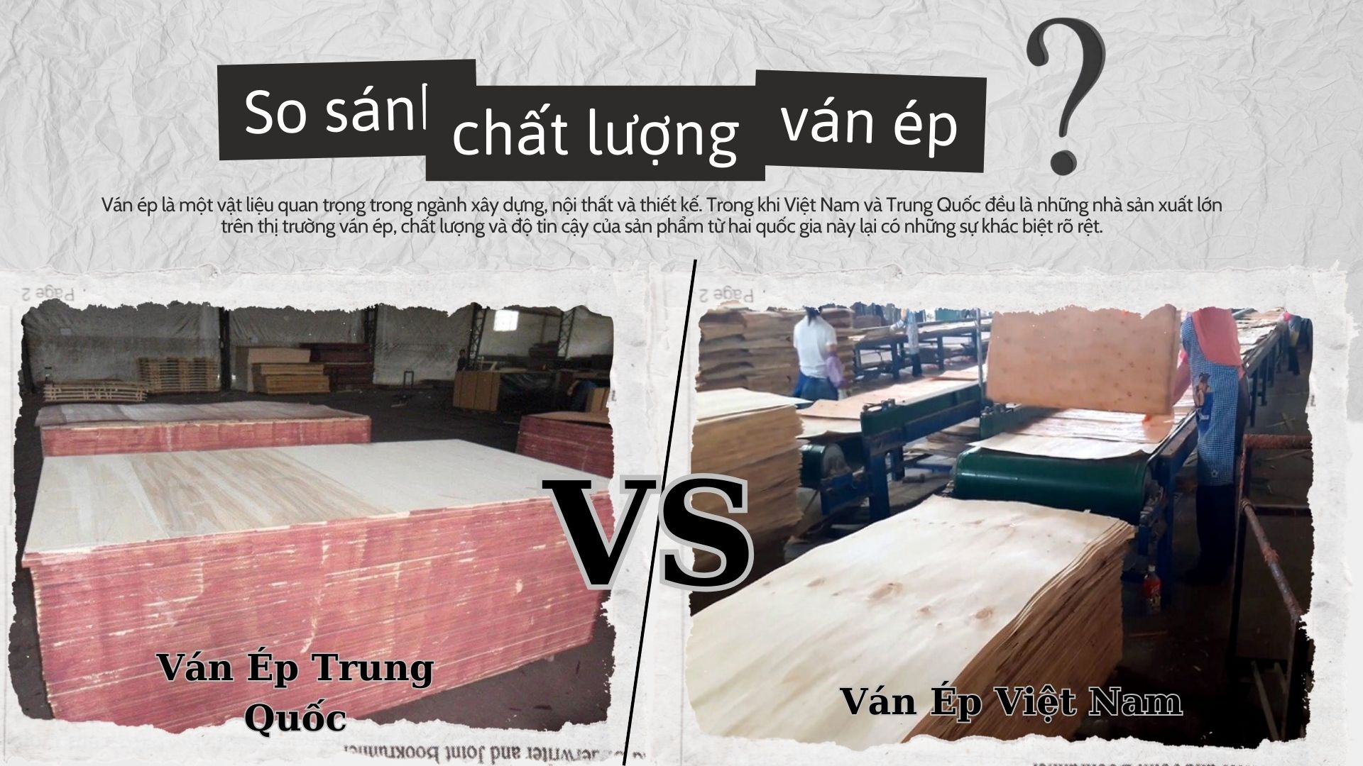 Sự lựa chọn tối ưu: Ván ép Việt Nam hay Trung Quốc?