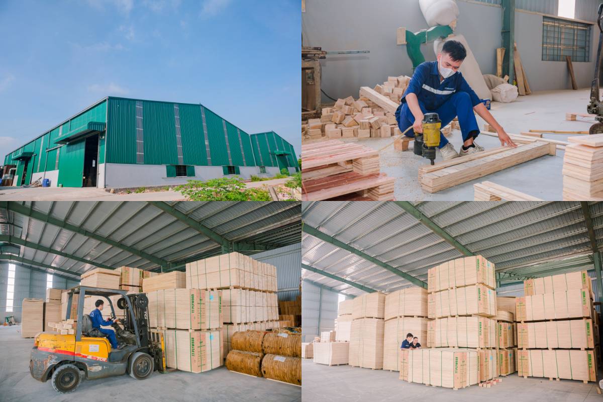 Khám phá công ty sản xuất ván ép phủ phim