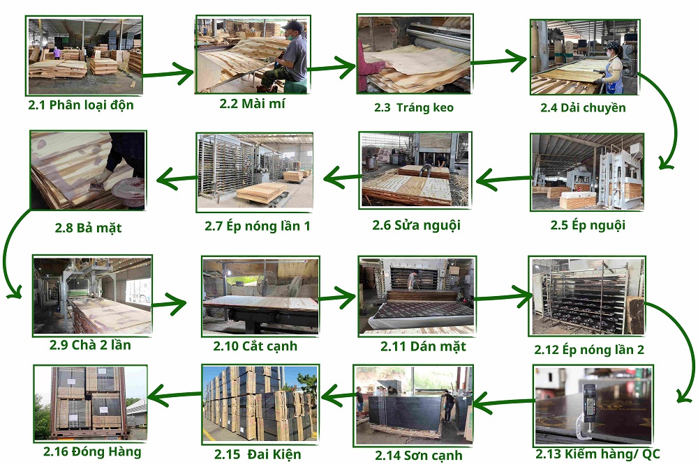 Quy trình sản xuất ván ép phủ phim tại TT PLYWOOD