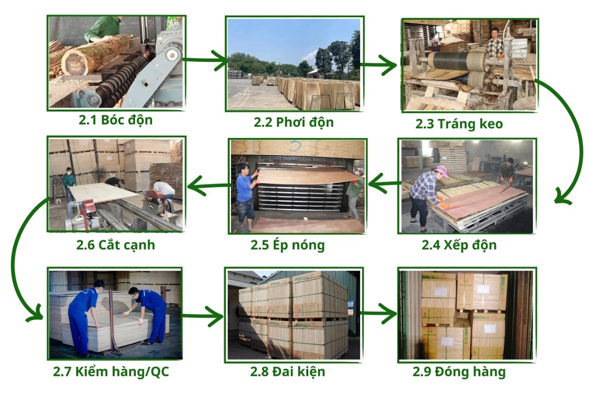 Quy trình sản xuất ván ép bao vì tại TT PLYWOOD