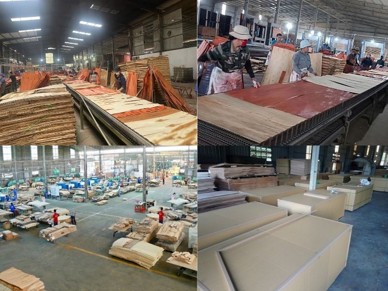 Top 10 Công ty sản xuất ván ép uy tín tại Việt Nam 2026