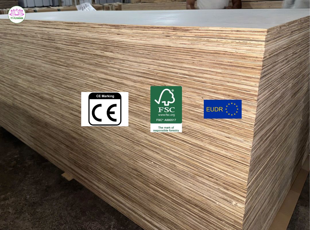 Gỗ Ép Có Bền Không? Sự Thật Về Gỗ Ép Cao Cấp, Cao Su và Dòng Chống Nước