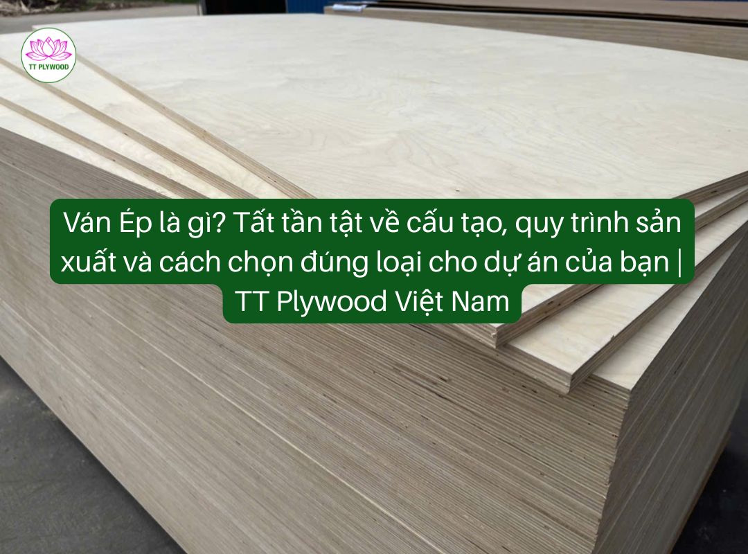 Plywood là gì? Tất tần tật về cấu tạo, quy trình sản xuất và cách chọn đúng loại cho dự án của bạn | TT Plywood Việt Nam