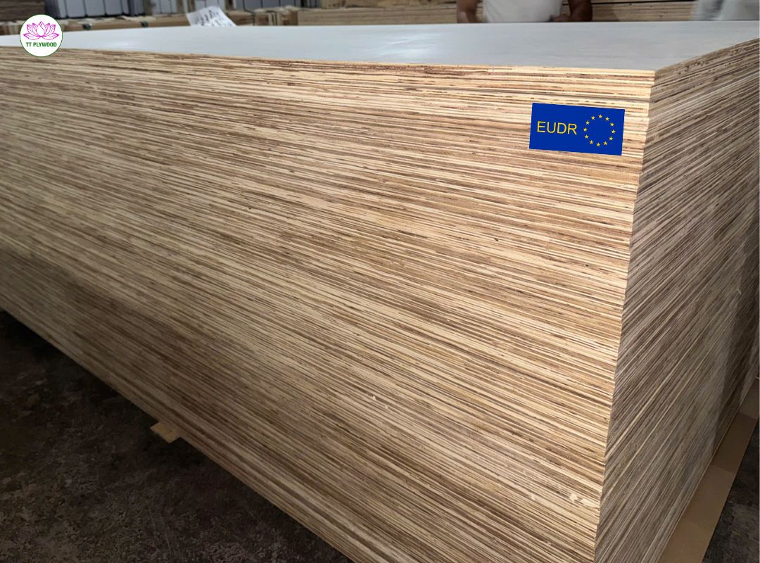 Baltic Birch & EUDR: Hướng dẫn 2025