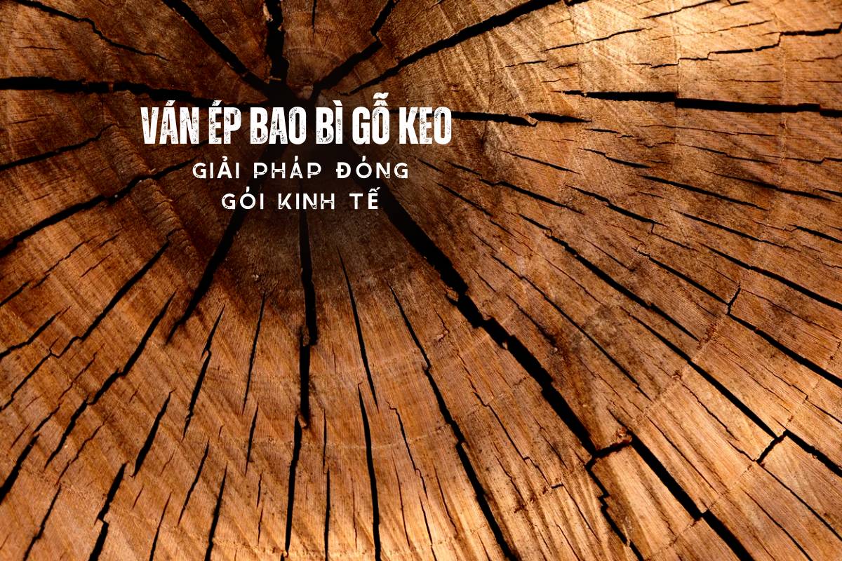 Ván ép bao bì gỗ keo – Giải pháp đóng gói kinh tế
