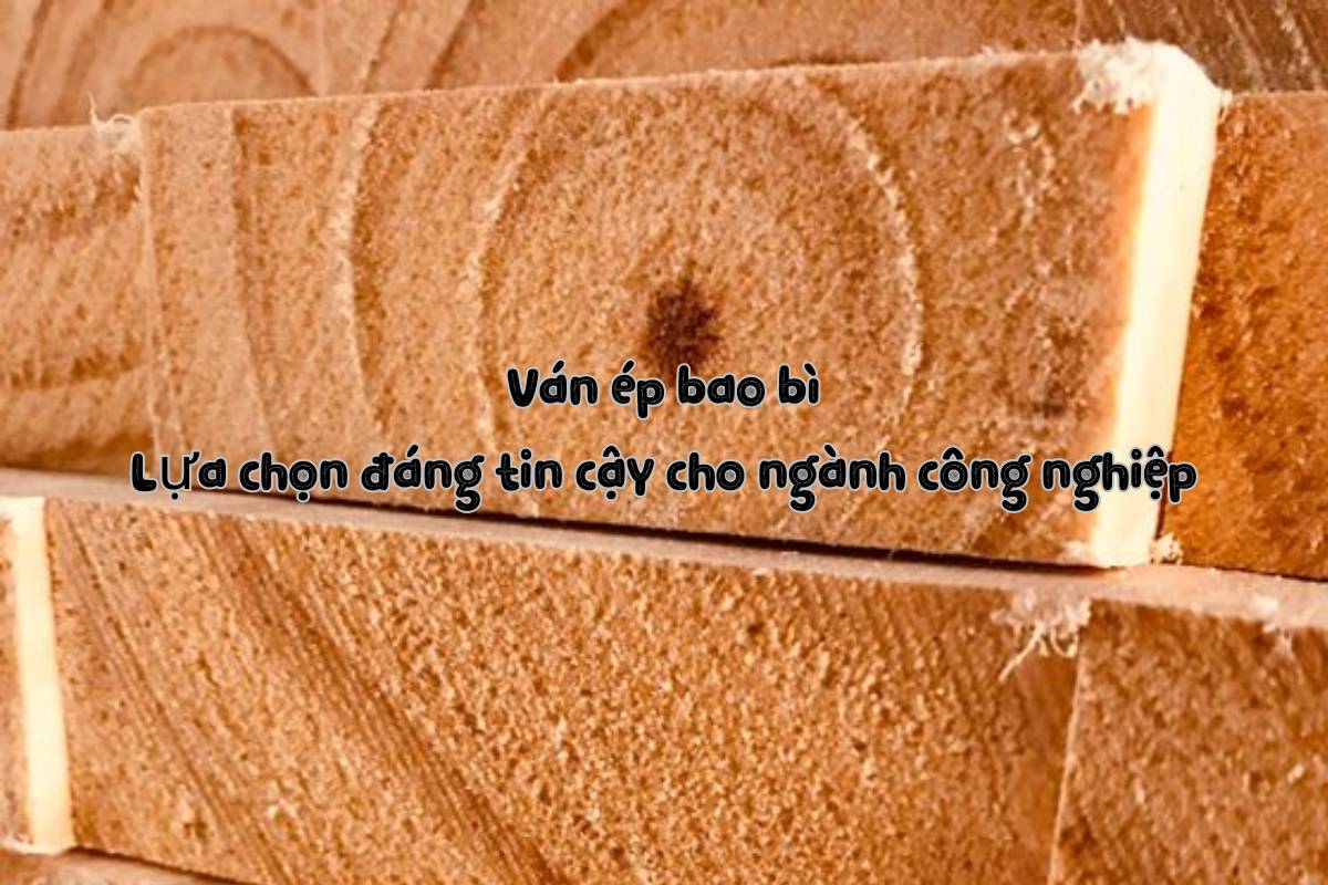 Ván ép bao bì: Lựa chọn đáng tin cậy cho ngành công nghiệp