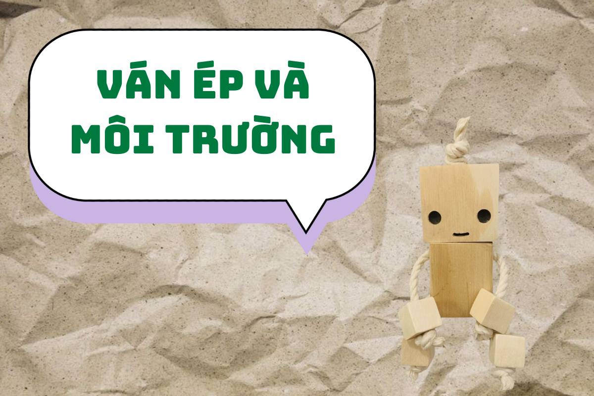Ván ép và môi trường: Giải pháp bền vững cho ngành sản xuất