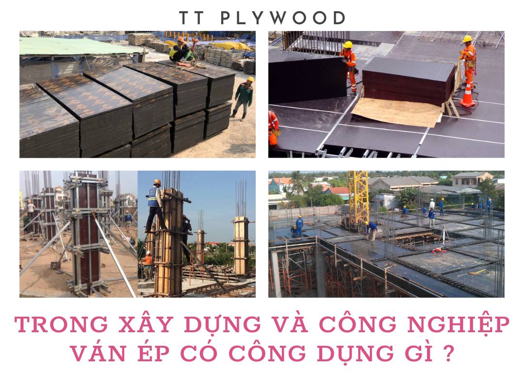 Ứng Dụng Của Ván Ép Phủ Phim Trong Xây Dựng Và Công Nghiệp