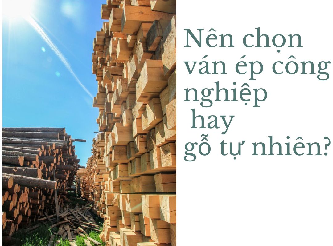 So Sánh Ván Ép Trang Trí và Gỗ Tự Nhiên: Nên Chọn Loại Nào?