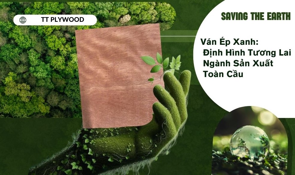 Ván Ép Xanh: Giải Pháp Bền Vững Cho Tương Lai Ngành Sản Xuất